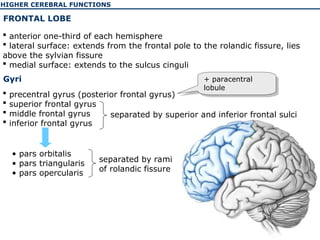 Higher Learning Rami The physiology of the higher cerebellar functions | PPT