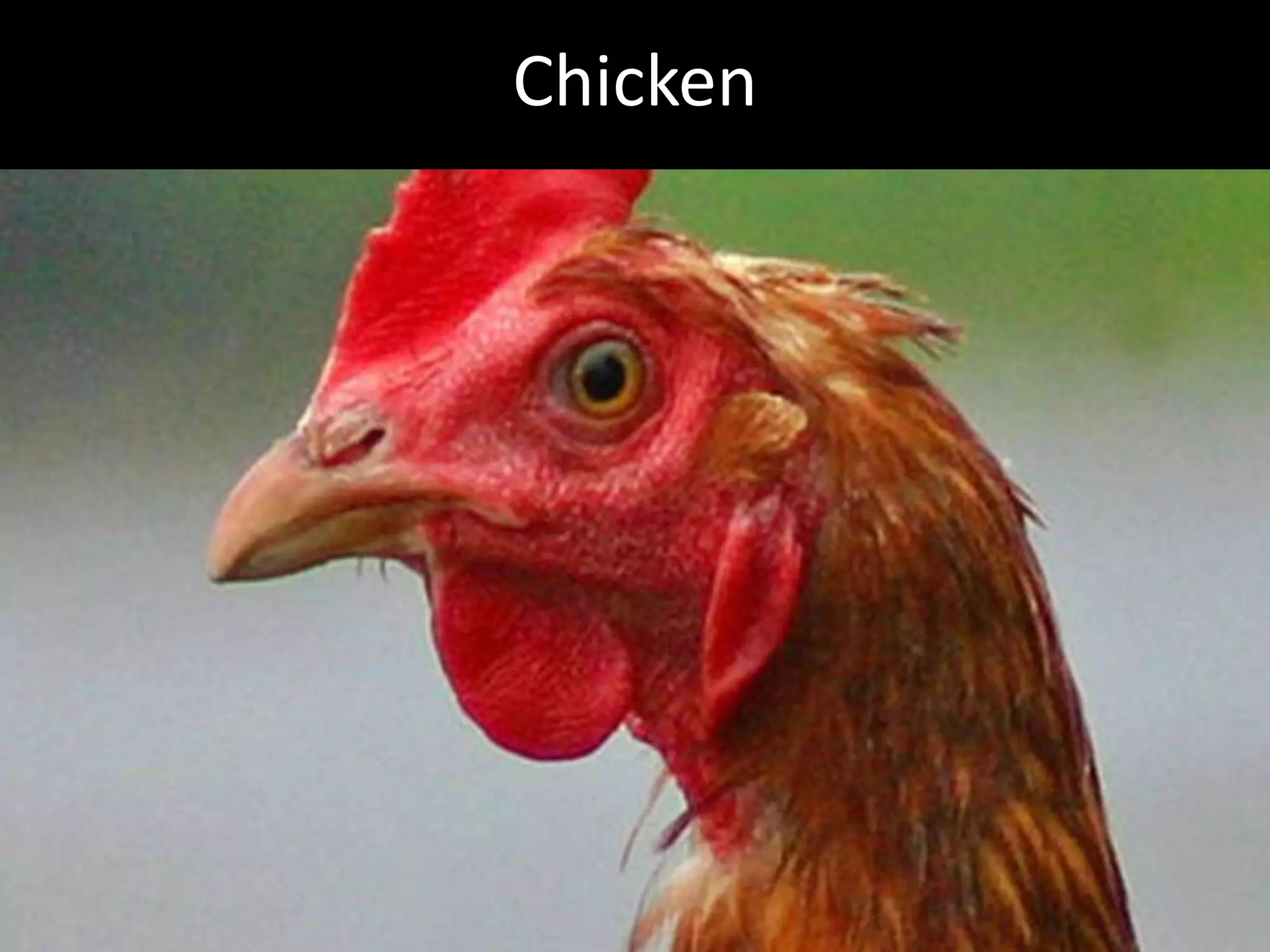 Hcg Protocol Low Calorie Diet