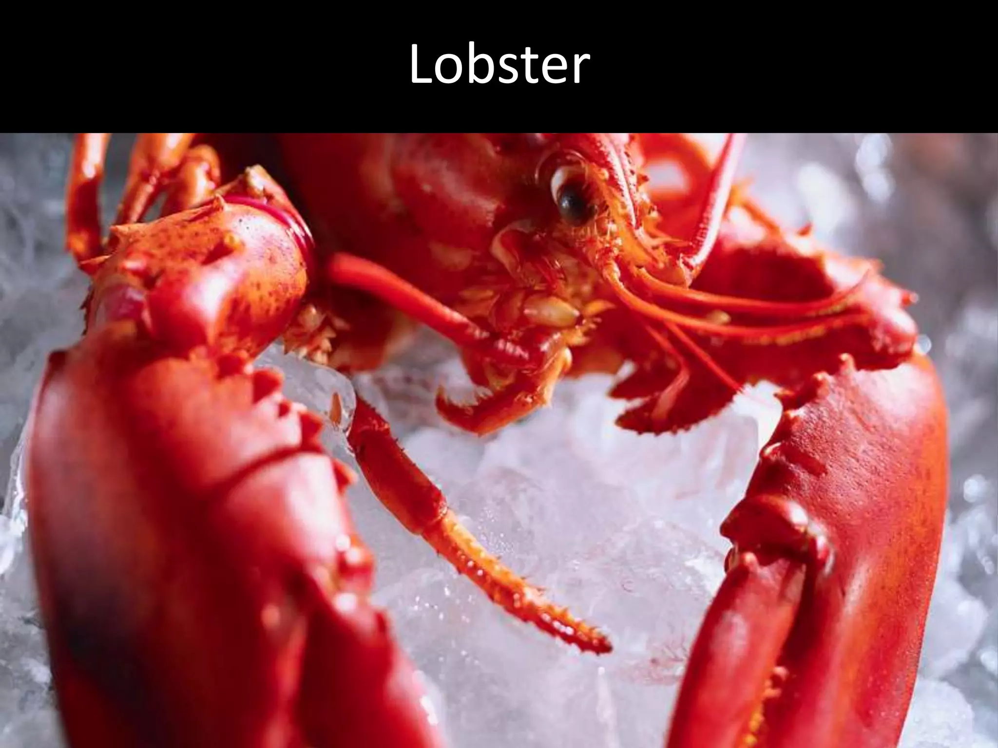 Hcg Protocol Low Calorie Diet