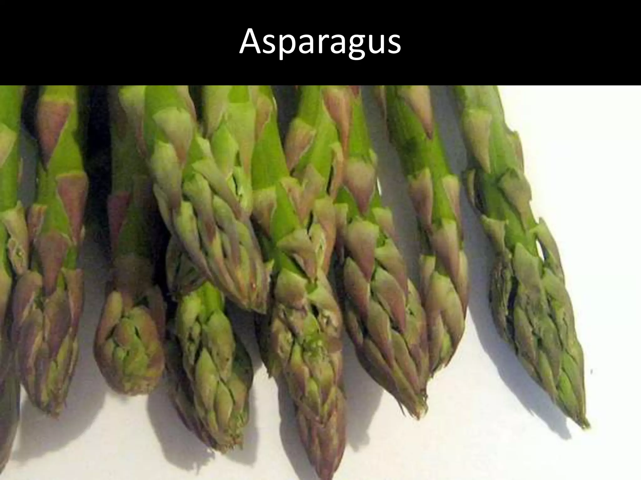 Hcg Protocol Low Calorie Diet