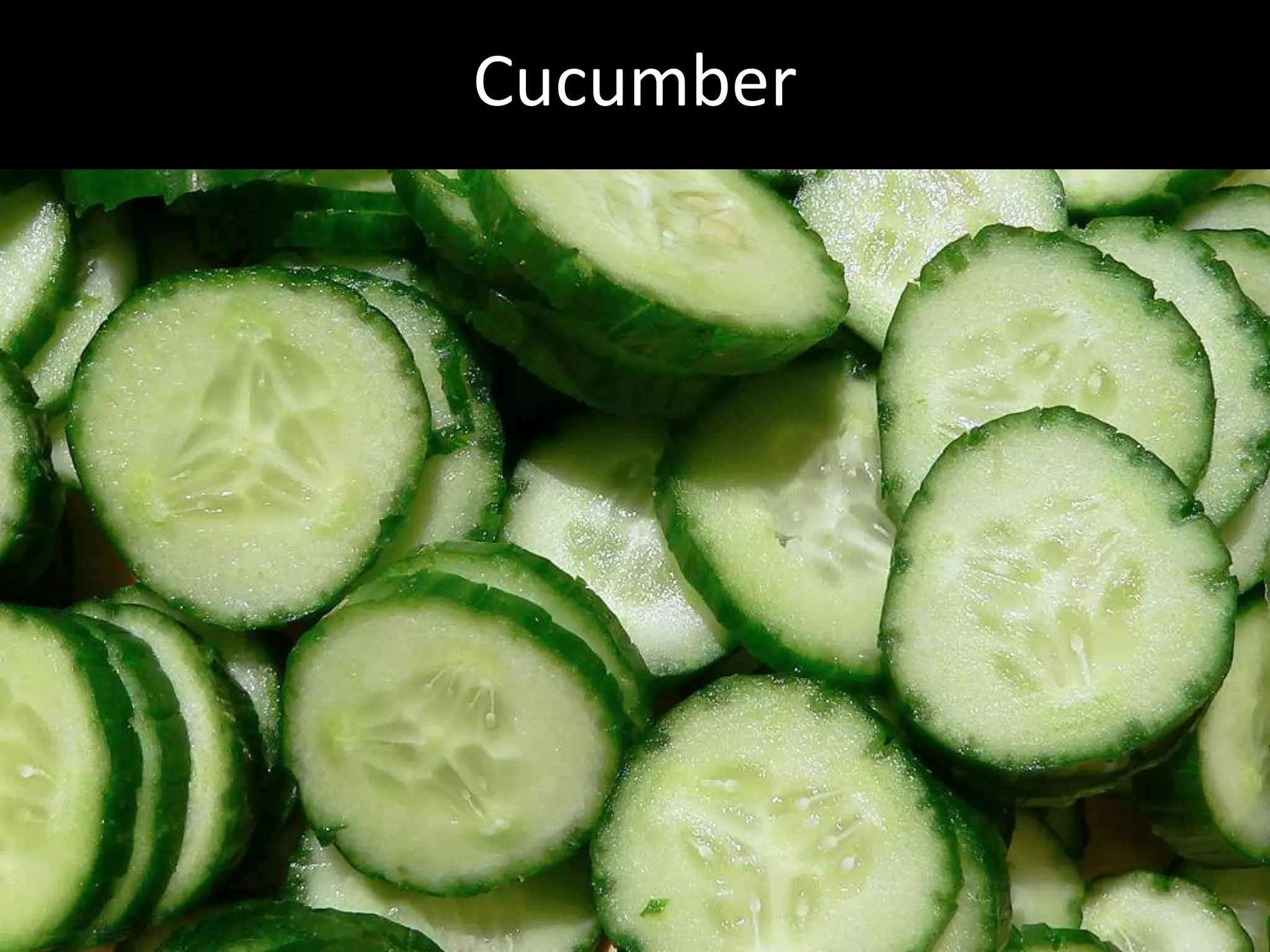 Hcg Protocol Low Calorie Diet