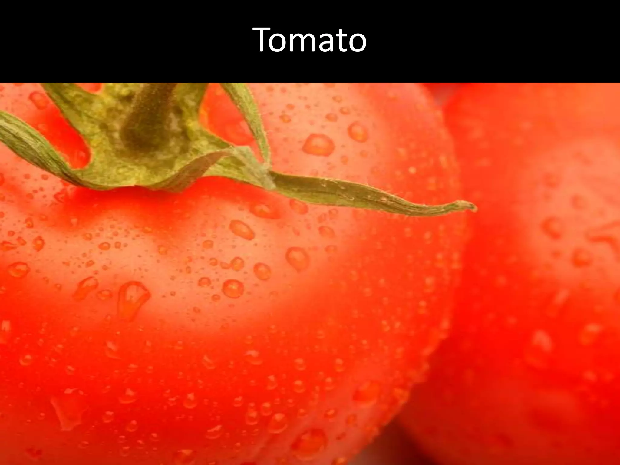 Hcg Protocol Low Calorie Diet