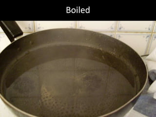 Hcg Protocol Low Calorie Diet