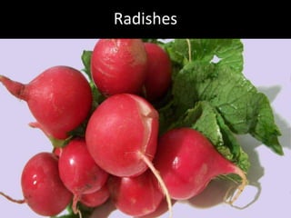 Hcg Protocol Low Calorie Diet