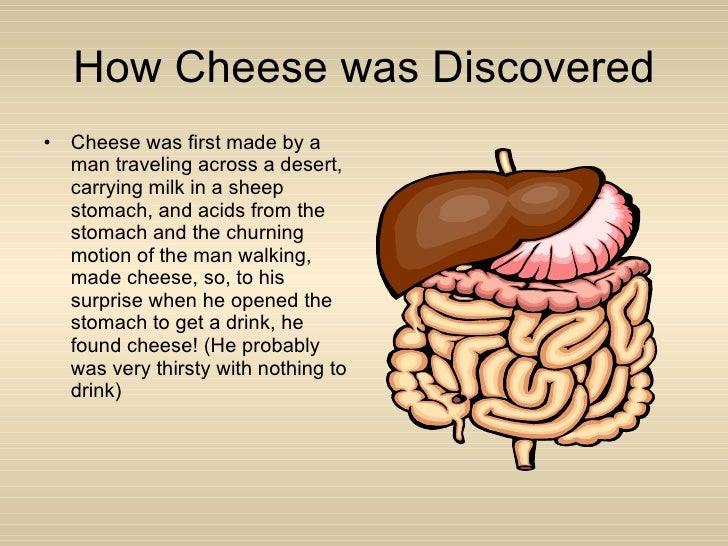 What Is The Digestion Of Cheese? – DWWITP