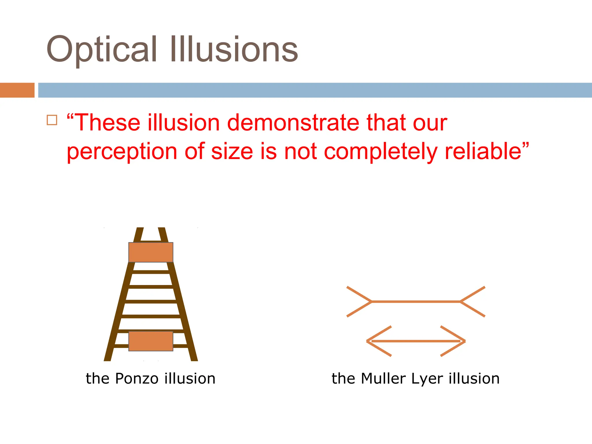 Optical Illusions
 “These illusion demonstrate that our
perception of size is not completely reliable”
the Ponzo illusion the Muller Lyer illusion
 