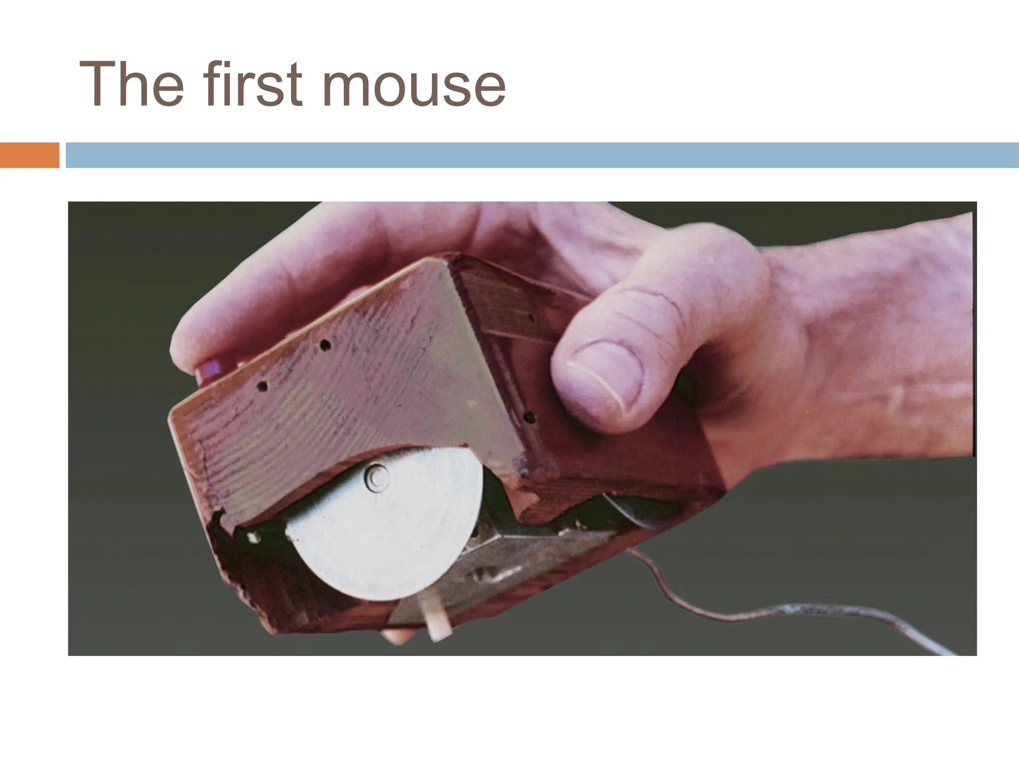 The first mouse
 
