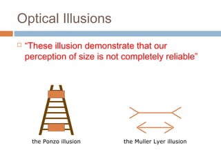 Optical Illusions
 “These illusion demonstrate that our
perception of size is not completely reliable”
the Ponzo illusion the Muller Lyer illusion
 