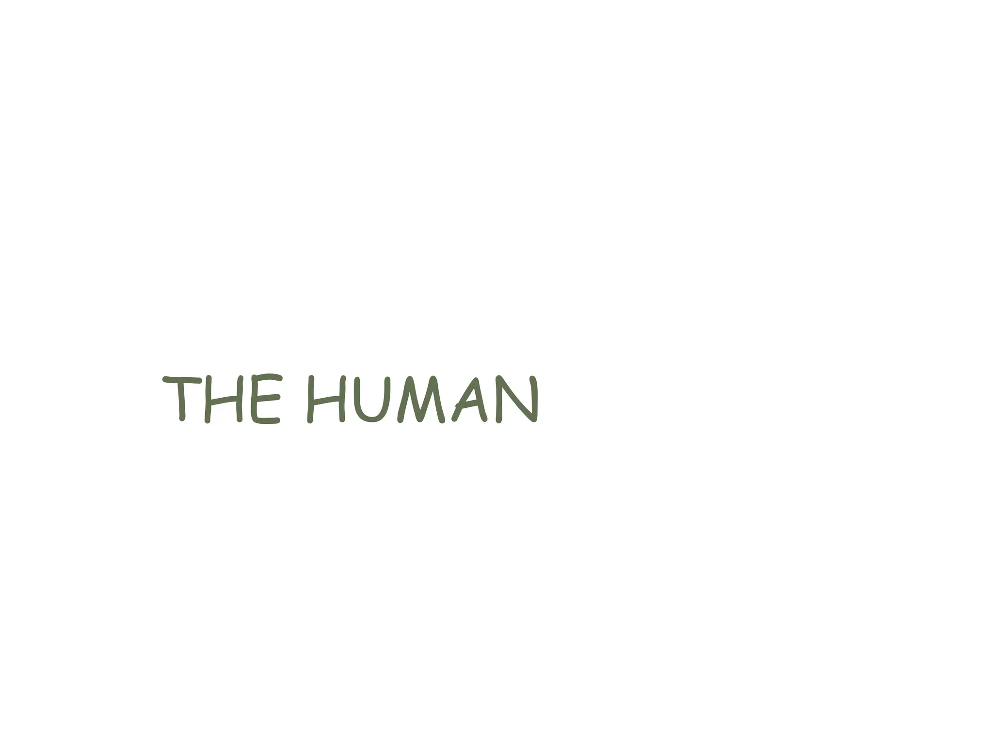 THE HUMAN
 