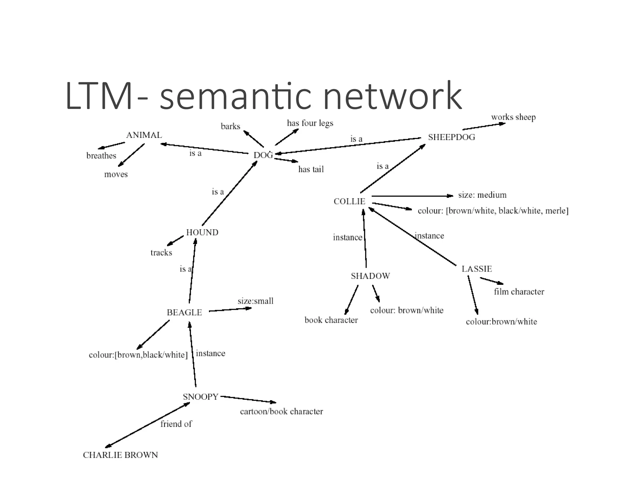 LTM- semantic network
 