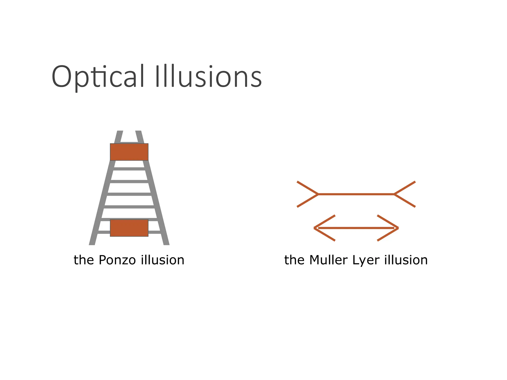 Optical Illusions
the Ponzo illusion the Muller Lyer illusion
 