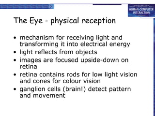 The Eye - physical reception mechanism for receiving light and transforming it into electrical energy light reflects from objects images are focused upside-down on retina retina contains rods for low light vision and cones for colour vision ganglion cells (brain!) detect pattern and movement 