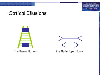 Optical Illusions the Ponzo illusion the Muller Lyer illusion 
