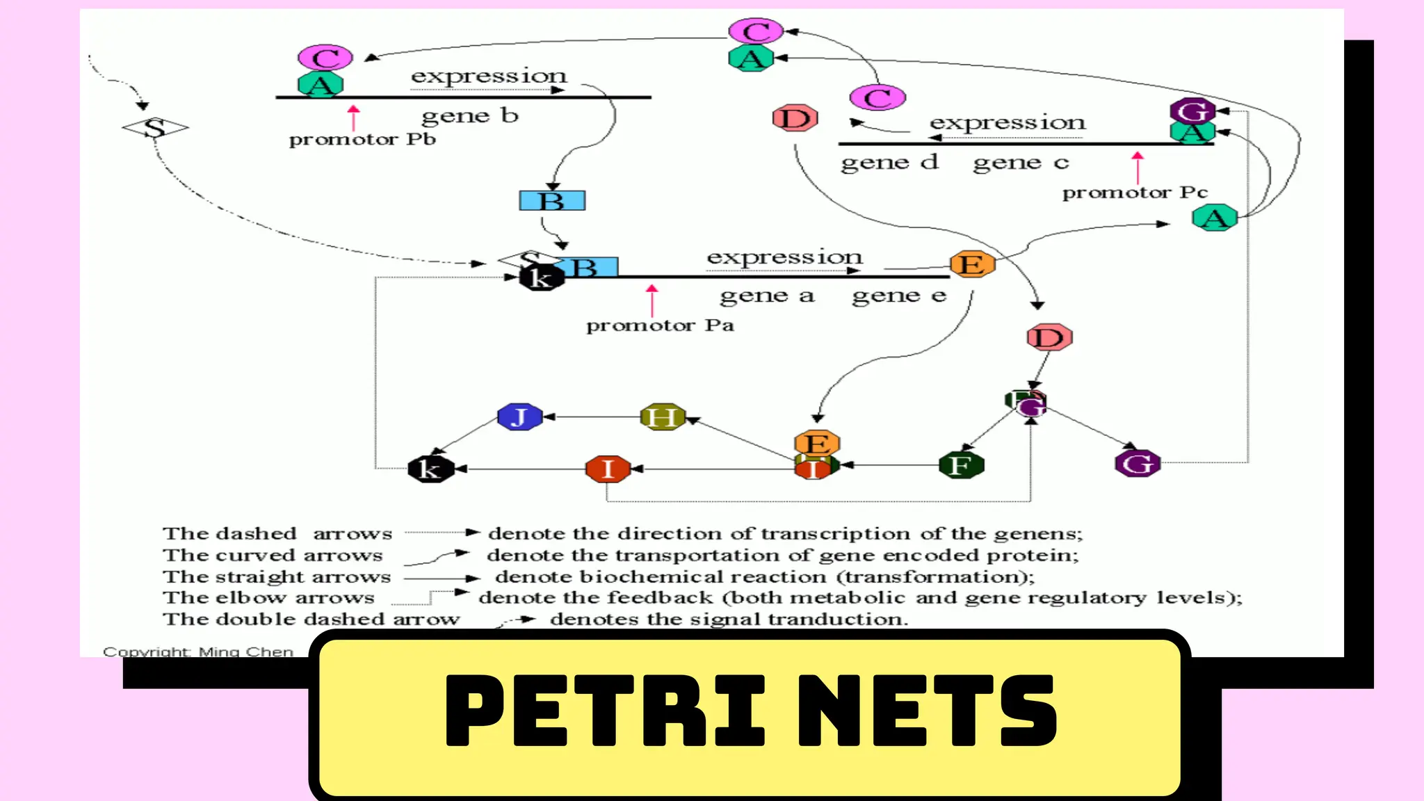 Petri nets
 