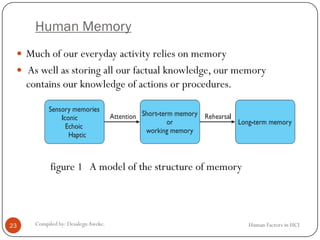 Human Memory
 Much of our everyday activity relies on memory
 As well as storing all our factual knowledge, our memory
contains our knowledge of actions or procedures.
figure 1 A model of the structure of memory
23 Compiled by: DesalegnAweke. Human Factors in HCI
 