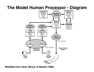 The Model Human Processor - Diagram
Modiﬁed from Card, Moran, & Newell (1983)
Pattern
Recognition
Muscle Control
Output
Motor
Processor
Cognitive
Processor
Encoding
Perceptual
Processor
Auditory
Processor
Visual
Input
Auditory
Input
Pattern
Recognition
Visual
Processor
Auditory
Image Store
physical
1500 ms
5 letters
Visual
Image Store
physical
200 ms
17 letters
Working
Memory
acoustic
7-73 sec
3-7 chunks
70 ms cycle time
70 ms cycle time
Long-Term
Memory
semantic
(declarative)
infinite
infinite
100 ms cycle time
10 sec/chunk
write time
Production
Memory
procedural
infinite
infinite
 