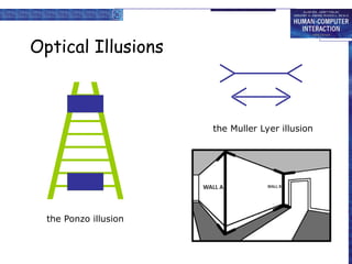 Optical Illusions
the Ponzo illusion
the Muller Lyer illusion
 