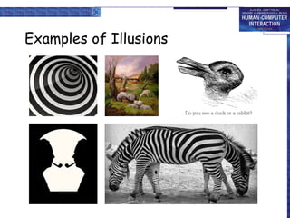 Examples of Illusions
 