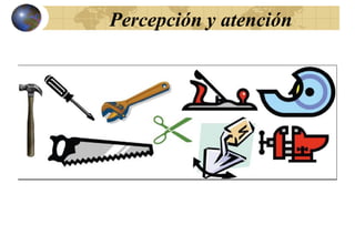 Percepción y atención
 