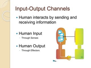 Hci fundamentals | PPT