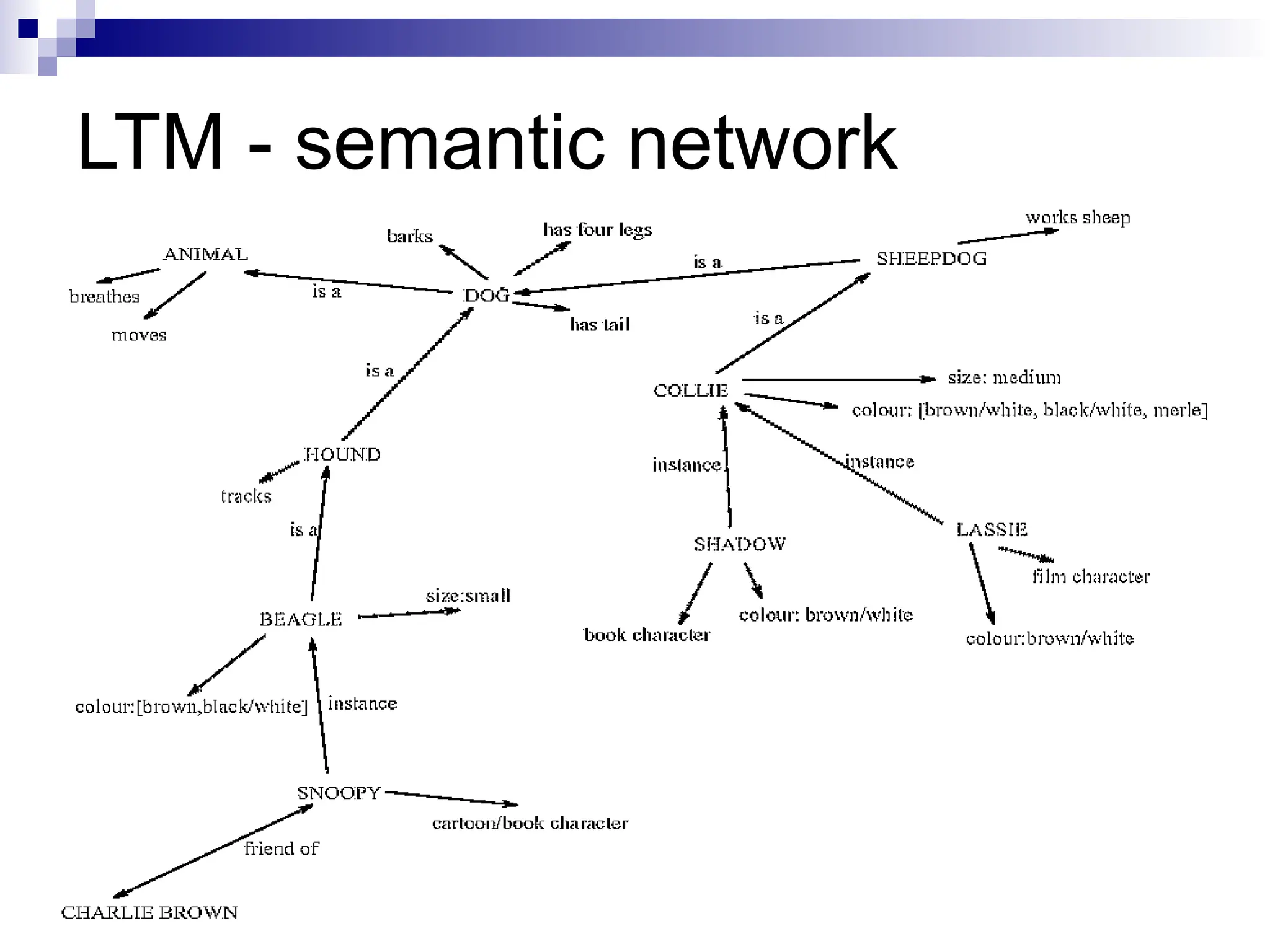 LTM - semantic network
 