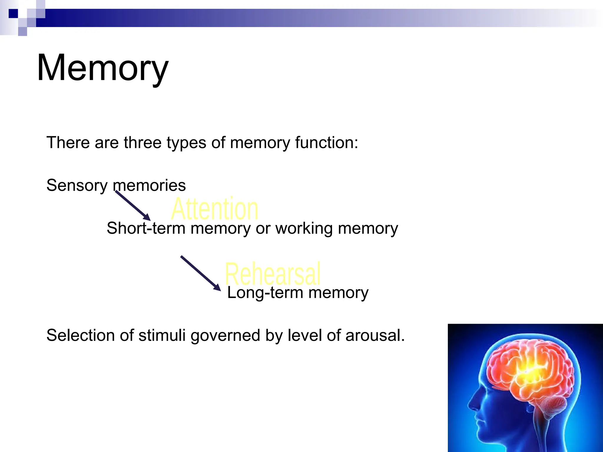 Memory
There are three types of memory function:
Sensory memories
Short-term memory or working memory
Long-term memory
Selection of stimuli governed by level of arousal.
 