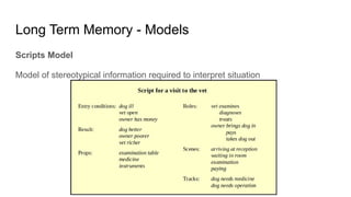 Long Term Memory - Models
Scripts Model
Model of stereotypical information required to interpret situation
 