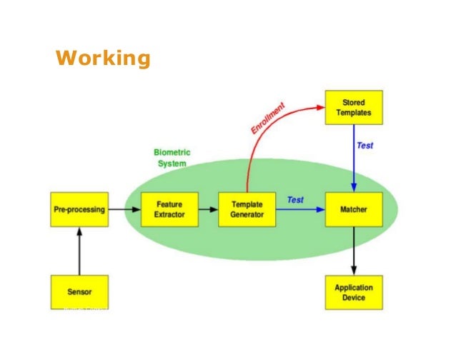 Human Computer Interaction of an Information System
