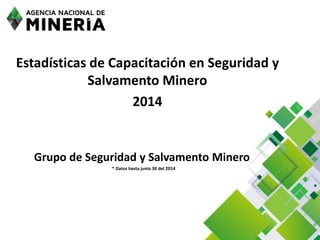Estadísticas de Capacitación en Seguridad y
Salvamento Minero
2014
Grupo de Seguridad y Salvamento Minero
* Datos hasta junio 30 del 2014
 