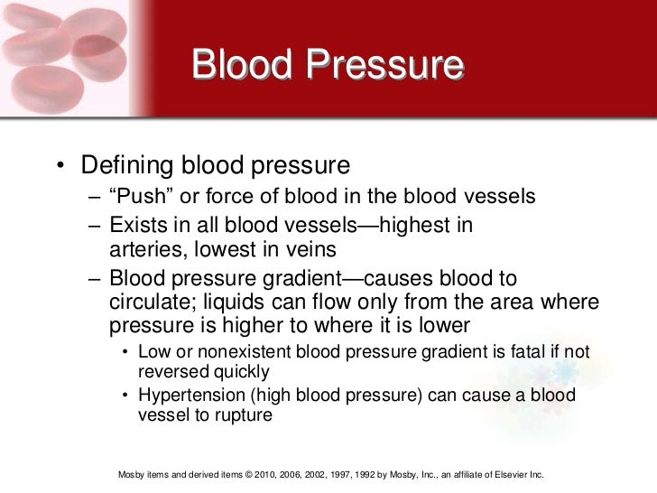 H circulatory system