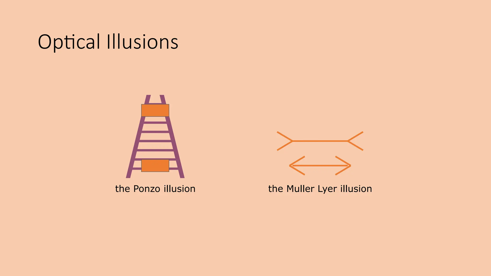 Optical Illusions
the Ponzo illusion the Muller Lyer illusion
 