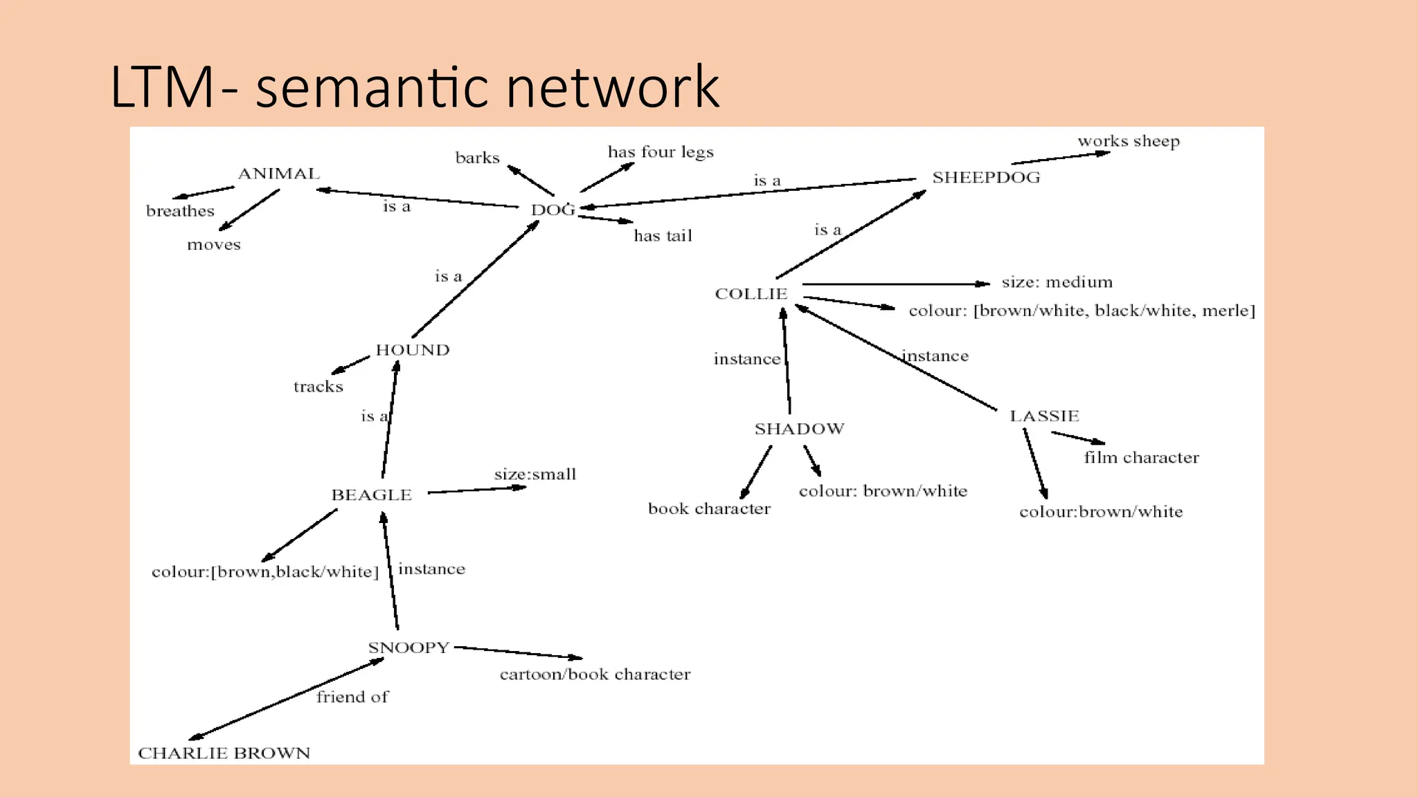 LTM- semantic network
 