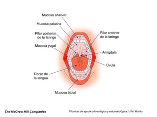 The McGraw-Hill Companies Técnicas de ayuda odontológica y estomatológica / J.M. Morillo 