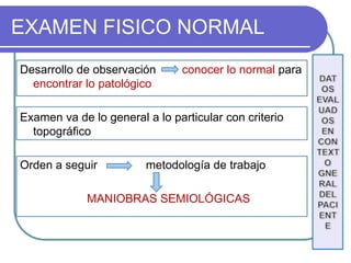 EXAMEN FISICO NORMAL
Desarrollo de observación conocer lo normal para
encontrar lo patológico
Examen va de lo general a lo particular con criterio
topográfico
Orden a seguir metodología de trabajo
MANIOBRAS SEMIOLÓGICAS
 