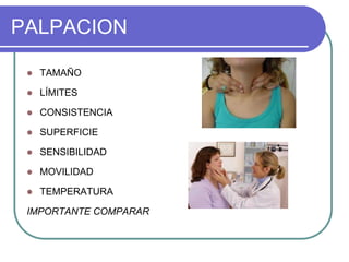 PALPACION
 TAMAÑO
 LÍMITES
 CONSISTENCIA
 SUPERFICIE
 SENSIBILIDAD
 MOVILIDAD
 TEMPERATURA
IMPORTANTE COMPARAR
 