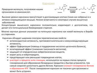Карнозин
Природная молекула, получаемая нашим
организмом из аминокислот.
Карнозин обладает широким спектром терапевтических свойств:
➢ антиоксидантная активность, противовоспалительная и иммуномодулирующая
активность,
➢ эффект буферизации (помощь в поддержании кислотно-щелочного баланса),
➢ хелатирующий эффект (снижение токсичности металлов),
➢ защищает от определенных нейротоксических веществ,
➢ играет роль в нейропередаче,
➢ предотвращает или уменьшает повреждение клеток,
➢ участвует в процессе анти-гликации, используется на первых этапах процесса
гликирования для образования безвредных продуктов и быстро устраняется, тем
самым сохраняя целостность других белков. Карнозин снижает гликирование белков
и образование КПГ. После гликирования карнозин не токсичен для организма и
может быть устранен.
Многие научные данные указывают на потенциал карнозина как новой молекулы в борьбе
со старением.
Концентрация мышечного карнозина положительно коррелирует с долголетием, что
делает его потенциальным биомаркером старения.
Высокие уровни карнозина присутствуют в долгоживущих клетках (таких как нейроны) и в
активно сокращающихся мышцах. Низкие встречаются в некоторых случаях мышечных
заболеваний.
 