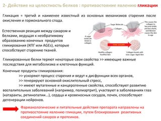 Гликированные белки теряют некоторые свои свойства >> имеющие важные
последствия для метаболизма и клеточных функций.
2- Действие на целостность белков : противостояние явлению гликации
Гликация = третий и наименее известный из основных механизмов старения после
окисления и гормонального спада.
Конечные продукты гликирования:
>> ускоряют процесс старения и ведут к дисфункции всех органов,
>> генерируют основной окислительный стресс,
>> имеют мутагенные и канцерогенные свойства, способствуют развитию
воспалительных заболеваний (например, полиартрит), участвуют в заболеваниях глаз
(катаракты, ретинопатии...), сердца и кровеносных сосудов, почек, способствуют
дегенерации нейронов.
Фармакологические и питательные действия препарата направлены на
противостояние явлению гликации, путем блокирования реактивных
соединений сахаров и протеинов.
Естественная реакция между сахаром и
белками, ведущая к необратимому
образованию конечных продуктов
гликирования (КПГ или AGEs), которые
способствуют старению тканей.
 