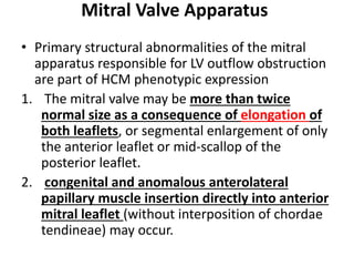 Mitral Valve Apparatus
• Primary structural abnormalities of the mitral
apparatus responsible for LV outflow obstruction
are part of HCM phenotypic expression
1. The mitral valve may be more than twice
normal size as a consequence of elongation of
both leaflets, or segmental enlargement of only
the anterior leaflet or mid-scallop of the
posterior leaflet.
2. congenital and anomalous anterolateral
papillary muscle insertion directly into anterior
mitral leaflet (without interposition of chordae
tendineae) may occur.
 