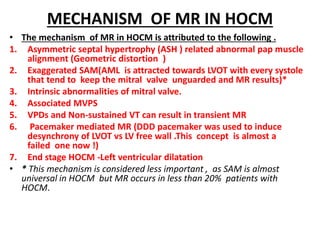 MECHANISM OF MR IN HOCM
• The mechanism of MR in HOCM is attributed to the following .
1. Asymmetric septal hypertrophy (ASH ) related abnormal pap muscle
alignment (Geometric distortion )
2. Exaggerated SAM(AML is attracted towards LVOT with every systole
that tend to keep the mitral valve unguarded and MR results)*
3. Intrinsic abnormalities of mitral valve.
4. Associated MVPS
5. VPDs and Non-sustained VT can result in transient MR
6. Pacemaker mediated MR (DDD pacemaker was used to induce
desynchrony of LVOT vs LV free wall .This concept is almost a
failed one now !)
7. End stage HOCM -Left ventricular dilatation
• * This mechanism is considered less important , as SAM is almost
universal in HOCM but MR occurs in less than 20% patients with
HOCM.
 