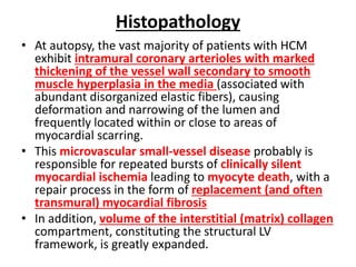 Histopathology
• At autopsy, the vast majority of patients with HCM
exhibit intramural coronary arterioles with marked
thickening of the vessel wall secondary to smooth
muscle hyperplasia in the media (associated with
abundant disorganized elastic fibers), causing
deformation and narrowing of the lumen and
frequently located within or close to areas of
myocardial scarring.
• This microvascular small-vessel disease probably is
responsible for repeated bursts of clinically silent
myocardial ischemia leading to myocyte death, with a
repair process in the form of replacement (and often
transmural) myocardial fibrosis
• In addition, volume of the interstitial (matrix) collagen
compartment, constituting the structural LV
framework, is greatly expanded.
 