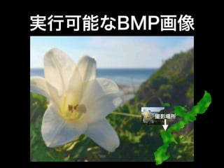 ζץߥ󥰤(󳦳2019)