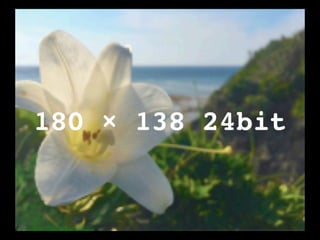ζץߥ󥰤(󳦳2019)
