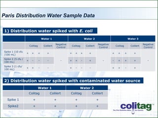 Colitag 16 - 48 Hour Presentation | PPT