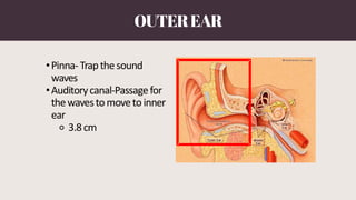 Hearing Conservation Program (Noise) 1.pdf