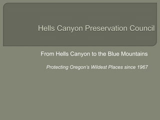 From Hells Canyon to the Blue Mountains
Protecting Oregon’s Wildest Places since 1967
 