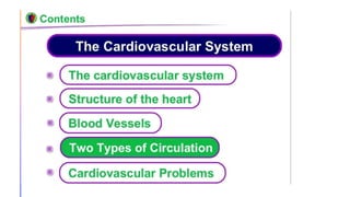 Cardiovascular System | PPT