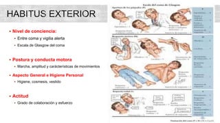  Nivel de conciencia:
 Entre coma y vigilia alerta
 Escala de Glasgow del coma
 Postura y conducta motora
 Marcha, amplitud y carácterísticas de movimientos
 Aspecto General e Higiene Personal
 Higiene, cosmesis, vestido
 Actitud
 Grado de colaboración y esfuerzo
 