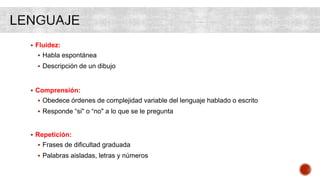  Fluidez:
 Habla espontánea
 Descripción de un dibujo
 Comprensión:
 Obedece órdenes de complejidad variable del lenguaje hablado o escrito
 Responde “si" o “no" a lo que se le pregunta
 Repetición:
 Frases de dificultad graduada
 Palabras aisladas, letras y números
 