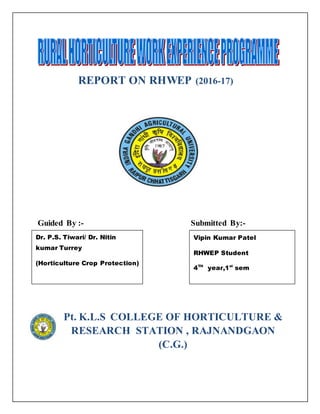 REPORT ON RHWEP (2016-17)
Guided By :- Submitted By:-
BBBBBY:-BYBY:-
Pt. K.L.S COLLEGE OF HORTICULTURE &
RESEARCH STATION , RAJNANDGAON
(C.G.)
Vipin Kumar Patel
RHWEP Student
4TH
year,1st
sem
Dr. P.S. Tiwari/ Dr. Nitin
kumar Turrey
(Horticulture Crop Protection)
 