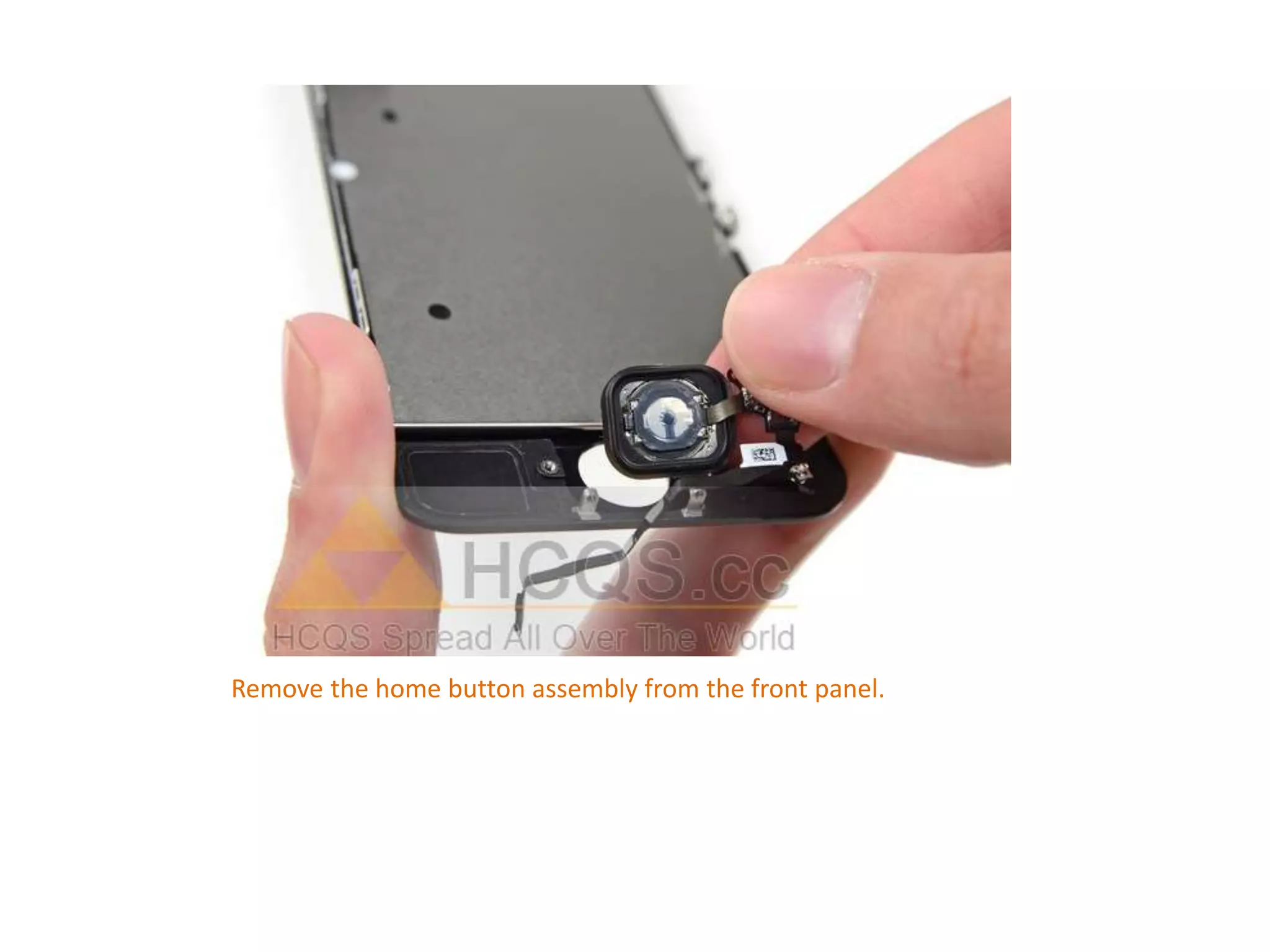 Remove the home button assembly from the front panel.
 